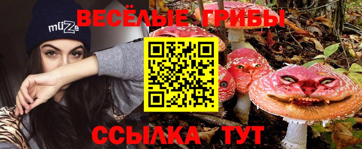 Саяногорск  Псилоцибиновые грибы GOLDEN TEACHER  Вход с VPN 