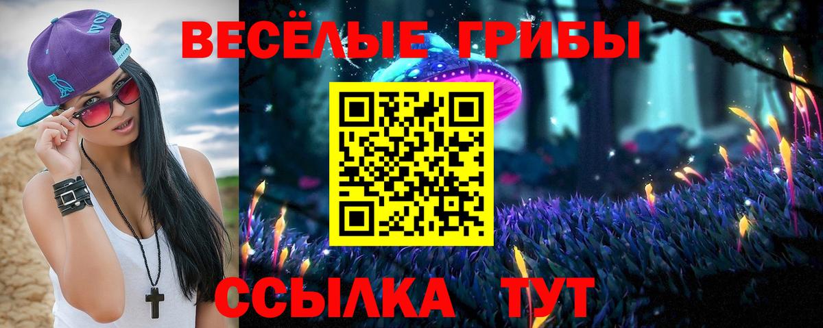 Псилоцибиновые грибы GOLDEN TEACHER Саяногорск